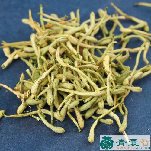 中药材花草图片