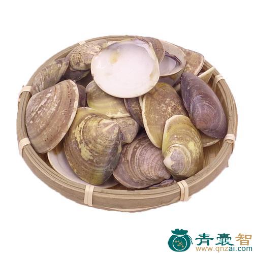 中药材花蚬壳图片