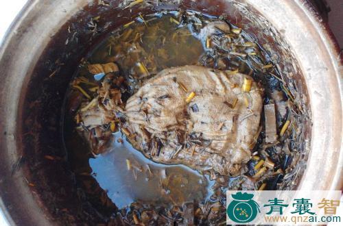 中药材花鯹鱼图片