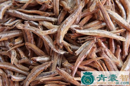 中药材花鱼鳀图片