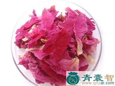 中药材芳杜鹃图片