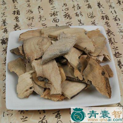 中药材芳樟图片