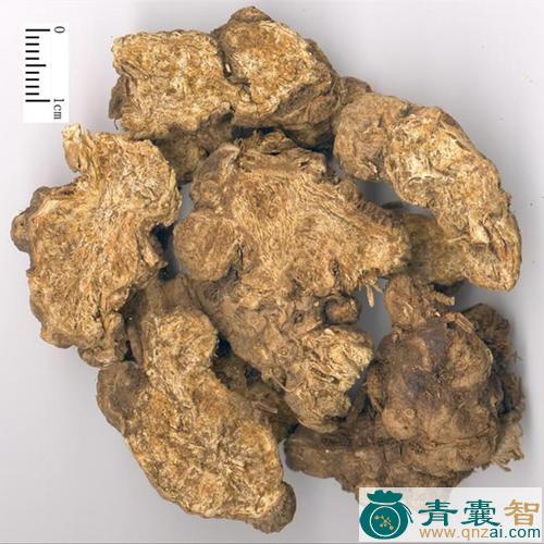 中药材苍伴木图片