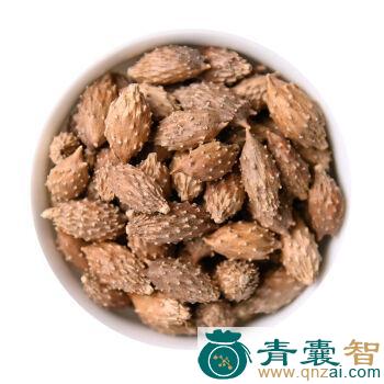 中药材苍子棵图片