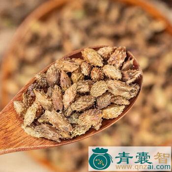 中药材苍耳子图片