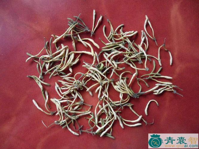 中药材苏花图片