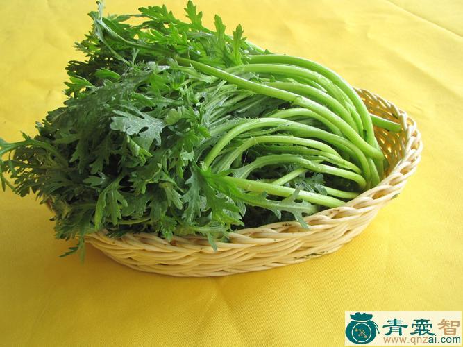 中药材苘蒿菜图片