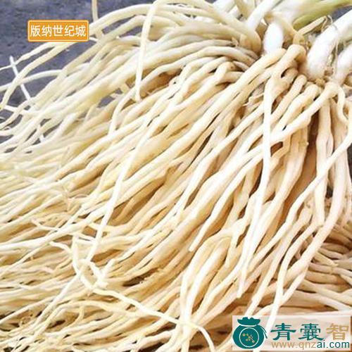 苤菜的性味归经-青囊智