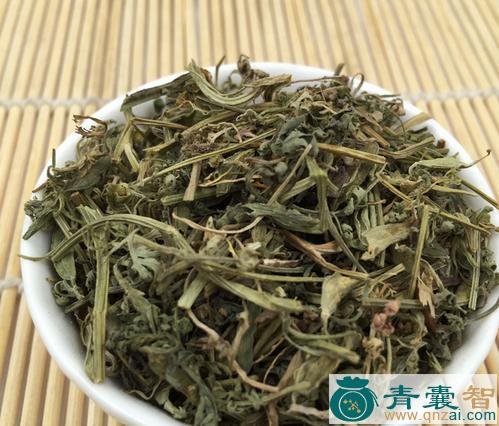 中药材苦含图片