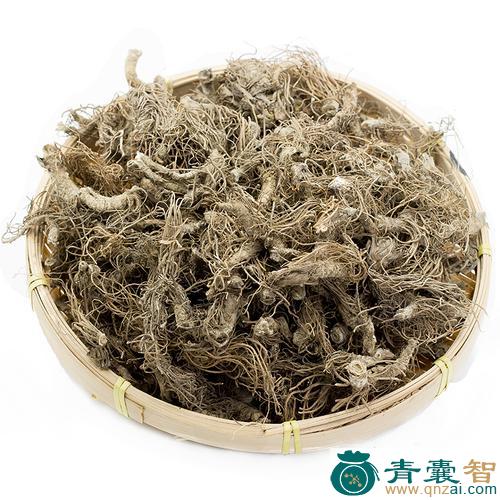中药材苦地枕图片