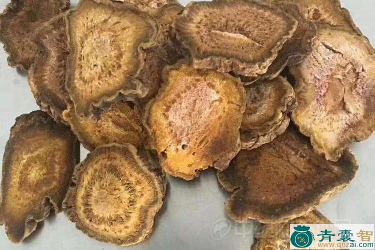 中药材苦大黄图片