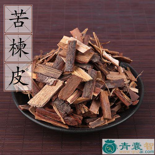 中药材苦楝菌图片