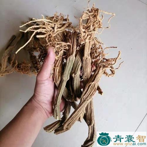 中药材苦瓜根图片