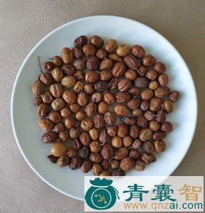 中药材苦苓舅图片