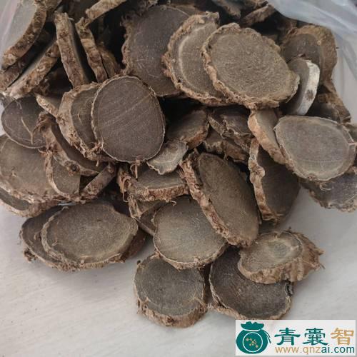 中药材苦莪图片