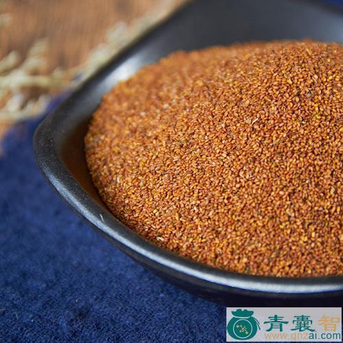 中药材苦葶苈图片