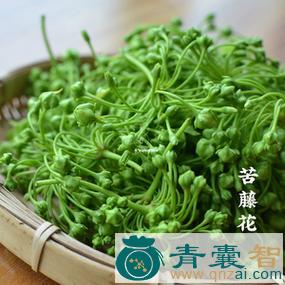 中药材苦藤图片