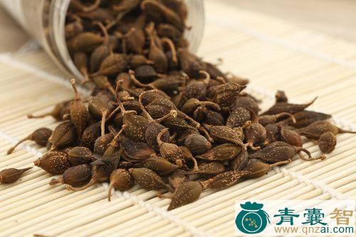 中药材苦连翘图片