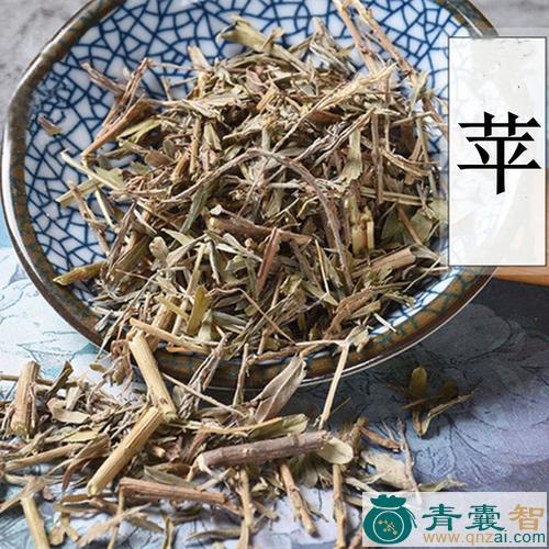 中药材苹图片