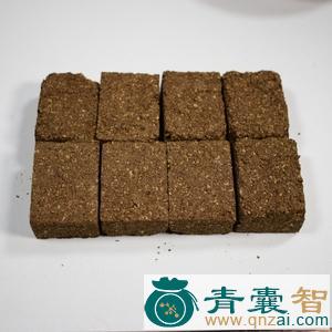 中药材范志曲图片
