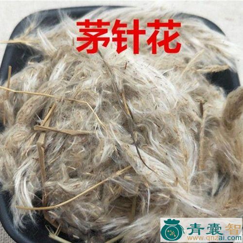 茅盔花的性状性味归经以及功效用法-青囊智