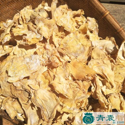 中药材茅竹笋图片