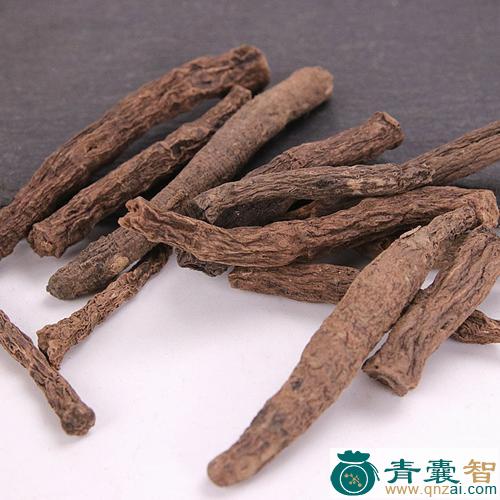 中药材茅草筋骨图片