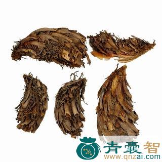 中药材茈萁图片