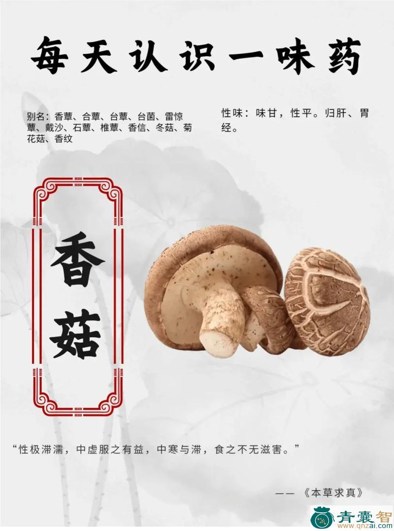 中药材茗图片