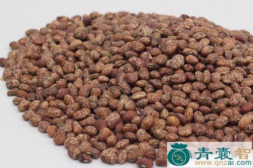 中药材茳豆图片