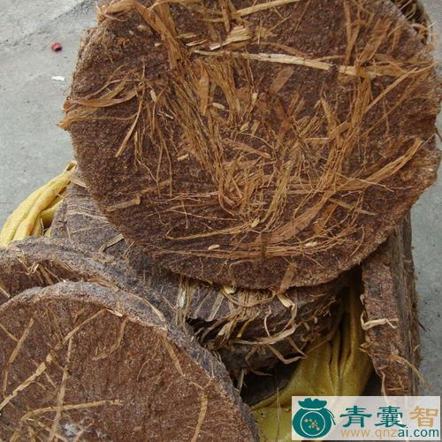 中药材茶绒图片