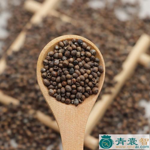 中药材荆子图片