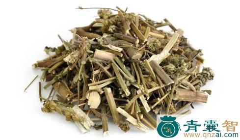中药材荆芥七图片