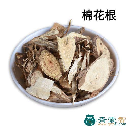 中药材草棉根皮图片
