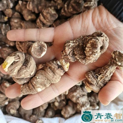 中药材草河车图片