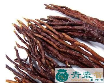 中药材草灵脂图片