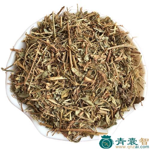 中药材草龙珠图片