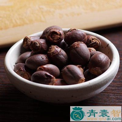 荔仁的性状性味归经以及功效用法和注意事项-青囊智