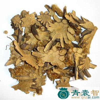 中药材荚果蕨贯众图片