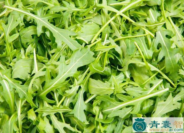 中药材荞菜七图片