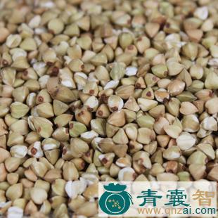 中药材荞麦图片