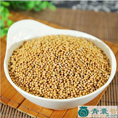 中药材荠菜子图片