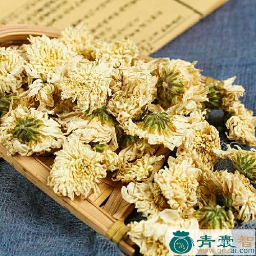中药材药菊图片