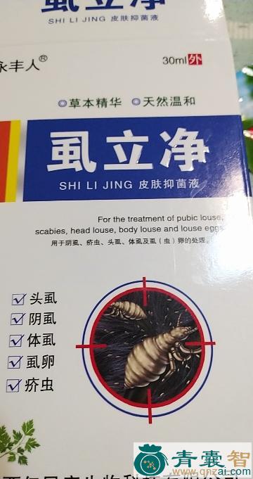 中药材药虱药图片
