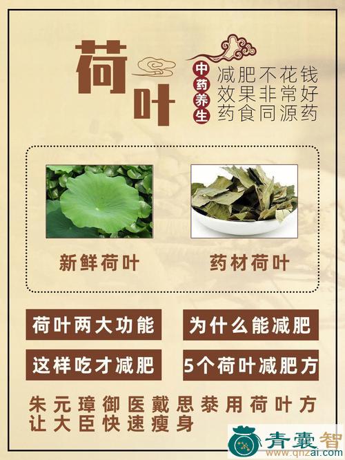 中药材荷叶豹图片