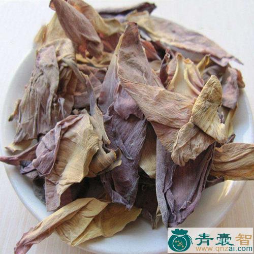中药材荷花图片