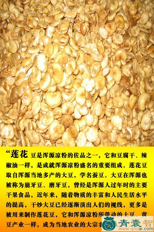 中药材荷连豆图片