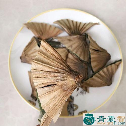 中药材荷鼻图片