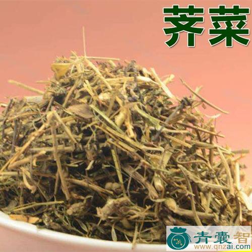 中药材莕菜图片