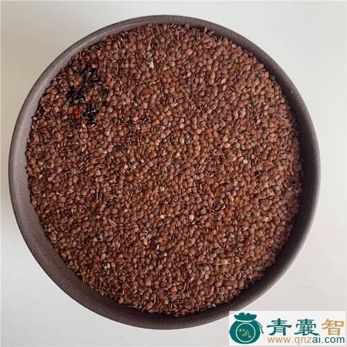 中药材莨菪实图片